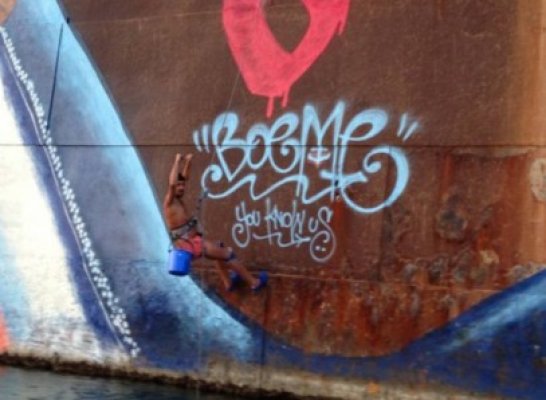 Un monstru marin a apărut pe epava de la Costineşti